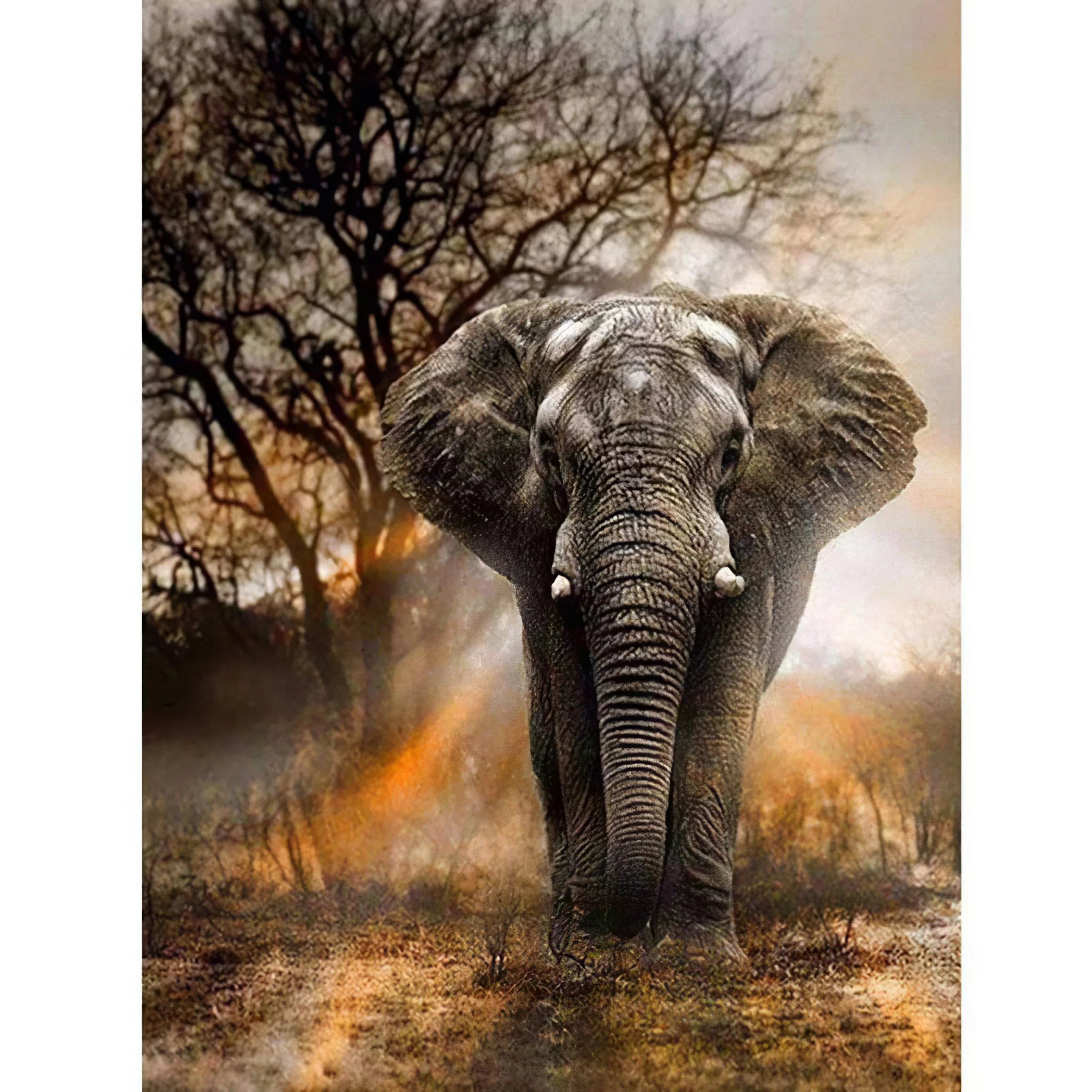 Éléphant d’afrique Diamond Painting