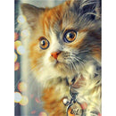 Chat aux yeux brillants Diamond Painting Broderie Diamant