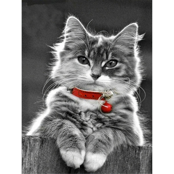 Chat avec médaillon rouge Diamond Painting Broderie Diamant