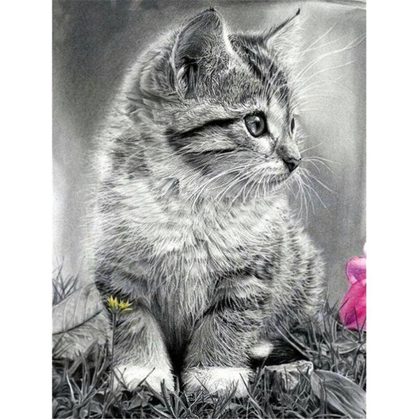 Chat aveugle. Diamond Painting Broderie Diamant