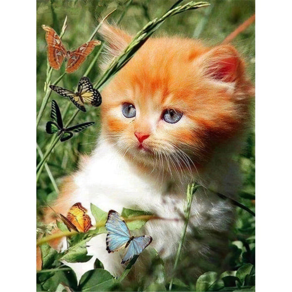 Chat et papillon Diamond Painting Broderie Diamant