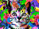 Chat Multicolore Art Abstrait Diamond Painting Broderie Diamant