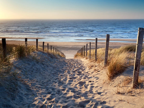 Chemin de Sable vers la Mer Diamond Painting Broderie Diamant