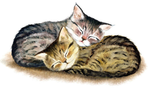 Deux mignons chatons Diamond Painting Broderie Diamant