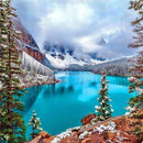 Eau douce et forêt Diamond Painting Broderie Diamant