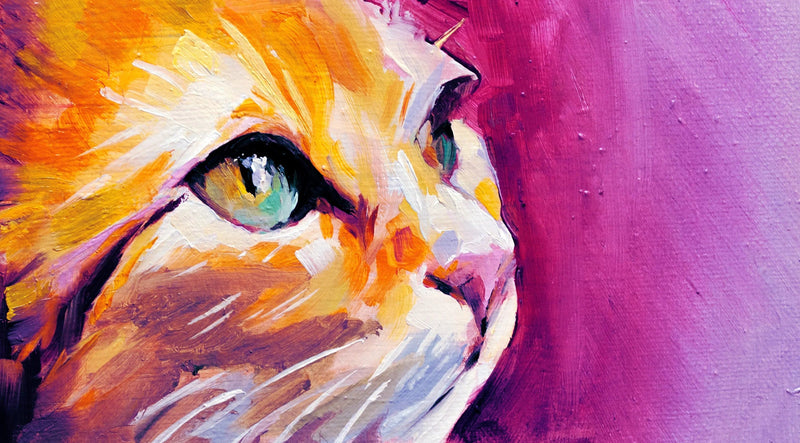 La peinture à l'huile d'un chat Diamond Painting Broderie Diamant