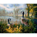 Petite cabane aux canards Diamond Painting Broderie Diamant