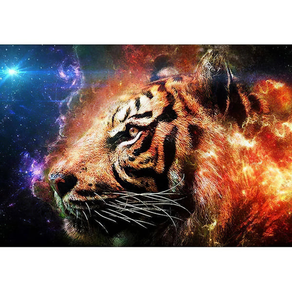 Tigre dans la Galaxie Diamond Painting Broderie Diamant