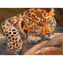 Tigre Léopard Diamond Painting Broderie Diamant