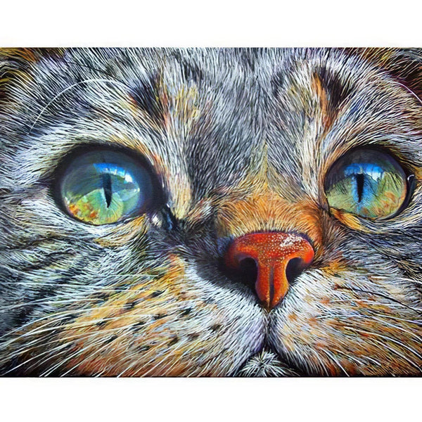 Un Chat avec un Regard Perçan Diamond Painting Broderie Diamant