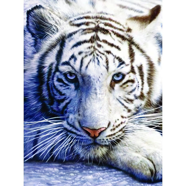 Un tigre blanc Diamond Painting Broderie Diamant