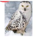 Une chouette Diamond Painting Broderie Diamant